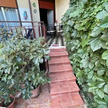 Naxos House